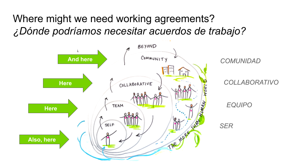 Hand drawn image of concentric rings representing nested scales of interaction and change: with self at the center, then team, collaborative, and community. The words 'the more than human world' wrap around the right side of the image to indicate the largest scale.